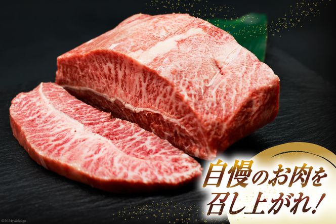 肉 牛肉 宮崎牛 牛みすじステーキ 450g [牛心フードサービス 宮崎県 美郷町 31bm0028] 冷凍 ステーキ ミスジ みすじ 希少部位 ブランド牛