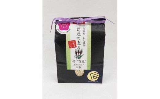 さくら市産お米食べ比べ＆もち麦セット≪米 お米 白米 干し芋 贈り物 プレゼント ギフト≫◇