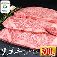 isa337 鹿児島県産黒毛和牛 伊佐黒王牛サーロインステーキ！(計500g・250g×2パック)【プラン・ビー】