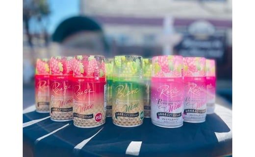 【モンデ酒造ふるさと納税】山梨県産 プレミアム缶 ワインアソート FAE009