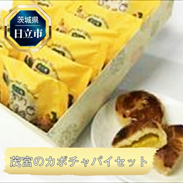 y錧sz169-11-001@B-12@΋{̃J{`pCZbg