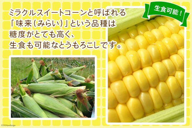 【期間限定発送】【糖度平均18度以上】とうもろこし 朝どれミラクルスイートコーン「味来」5kg箱 10～13本 [桑高農園 静岡県 吉田町 22424254] コーン トウモロコシ スイートコーン 朝採り 朝採れ 甘い