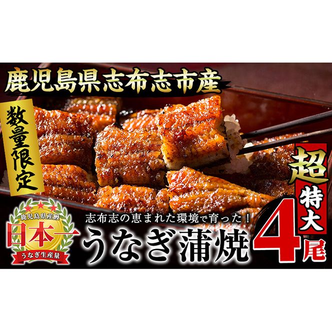 【数量限定】うなぎの大楠＜超特大＞4尾セット計760g以上(190g×4) c3-022