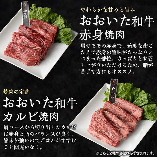 ＜訳あり＞厳選焼肉お試しセット (合計410g・5種) おおいた和牛 アイオワプレミアム 牛タン 米の恵み 豚バラ 焼肉 牛肉 肉 豚肉 赤身 カルビ 希少部位 低温熟成 和牛 ブランド牛 BBQ 冷凍 大分県 佐伯市【DH263】【(株)ネクサ】