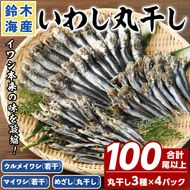 数量限定！イワシ丸干し3点セット(合計100尾以上) 国産 鹿児島県産 阿久根市産 魚 魚介 水産 いわし 鰯 ウルメイワシ うるめいわし めざし マイワシ まいわし 食べ比べ セット 詰め合わせ【鈴木海産】a-14-22-z