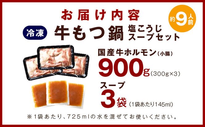 G1168 国産 牛もつ鍋セット 9人前 ホルモン 塩こうじ スープセット 