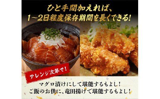 漁協直送！キハダマグロブロック（生）1kg 【 鮪 まぐろ 刺身 マグロ 漬け 新鮮 冷蔵 海の幸 魚介 送料無料 】[H170801]