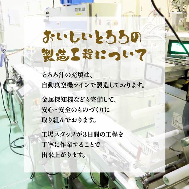 とろろ 15食 セット 1.8kg 小分け 個包装 山芋 大和芋 プレーン