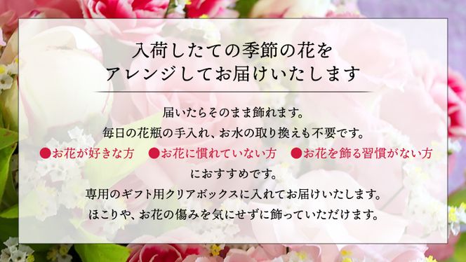 ≪ギフト≫仏花プリザーブドフラワー×１ [CT037ci]