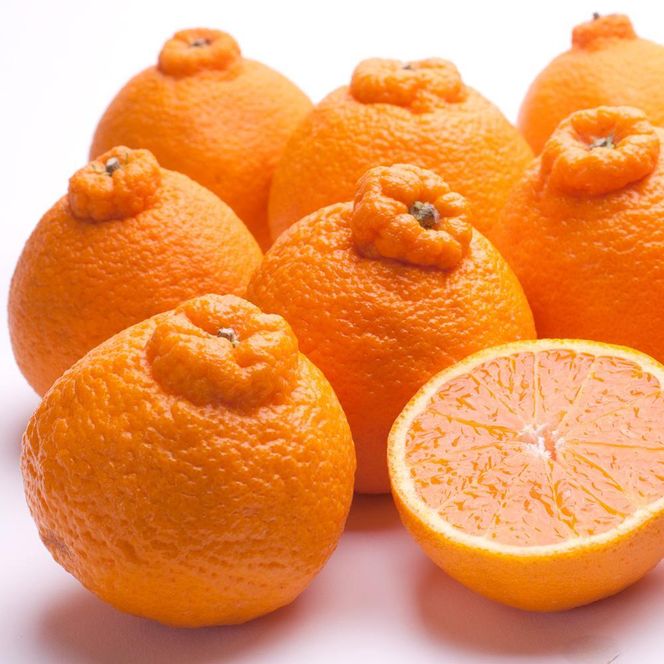 ［先行予約］厳選 不知火1kg+250g（傷み補償分）［デコポンと同品種・人気の春みかん］ CZ042