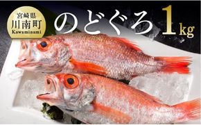 川谷水産厳選！のどぐろ(アカムツ)約１ｋｇ☆[D04407]