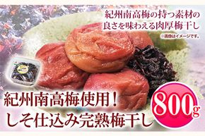 紀州南高梅使用 しそ仕込み完熟梅干し800g 厳選館 《90日以内に出荷予定(土日祝除く)》 和歌山県 日高川町 紀州南高梅 梅干し しそ仕込み---wshg_tmt183_90d_24_14000_1p---