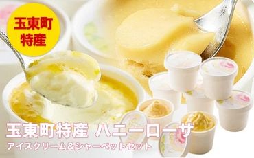 ハニーローザアイスクリーム＆ハニーローザシャーベット 120ml×各4個《30日以内に出荷予定（土日祝除く）》 熊本県玉東町 すもも ハニーローザ アイス ぷらっとぎょくとう抜群の糖度と爽やかな酸味♪---sg_fhiceset_30d_24_14000_120mlx8---