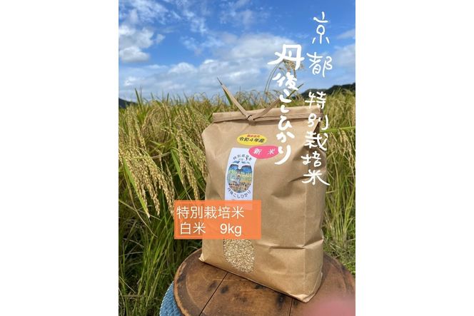 【先行予約】新米【特別栽培米】令和6年産　丹後こしひかり　白米9kg　KU00033