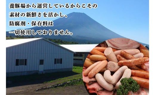 【定期便】山中湖ハム自家製ソーセージ5種類の詰合せ（3ヵ月連続発送） FAB029
