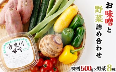 お味噌 (550g) 野菜 (8品) セット 詰め合わせ 旬 おまかせ 新鮮 やさい 味噌 みそ 吉良川みそ 調味料 高知県 室戸市 5000円 送料無料　rk014