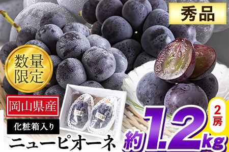 岡山県産 秀品 ニューピオーネ 約1.2kg 2房 [9月中旬〜11月上旬頃に出荷予定(土日祝除く)]葡萄 果物 秀品 スイーツ フルーツ デザート 岡山県矢掛町---ofn_csnp_g911_25_24000_2---