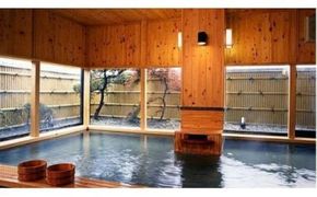 真玉温泉山翆荘　スパランド真玉　ペア宿泊券（一泊二食付）C 宿泊券 ２食付き ペアチケット 【スピード発送】(L5-01)