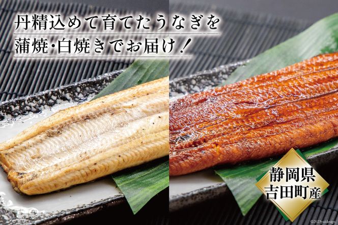 うなぎ 国産 静岡 うなぎ蒲焼 白焼 各130g 以上×2 計 4尾 タレ 山椒 付き [大井川うなぎ 静岡県 吉田町 22424462] 鰻 ウナギ うなぎかば焼き うなぎ蒲焼き 鰻蒲焼 鰻蒲焼き ウナギかば焼き 真空パック 蒲焼 タレ たれ 静岡県産 unagi