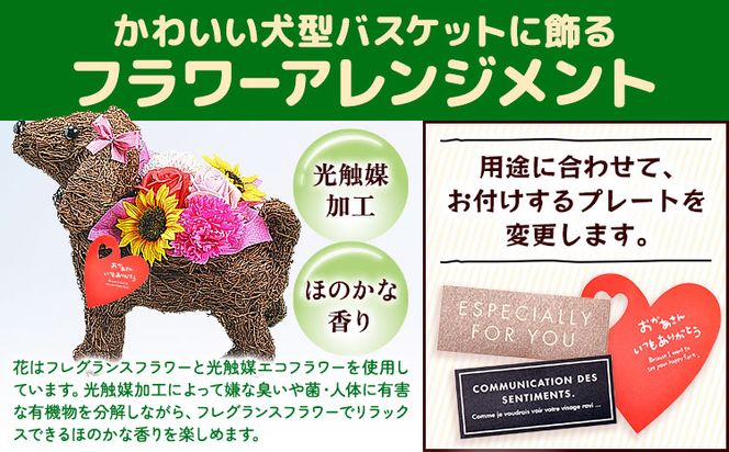 フレグランスフラワー＆光触媒エコフラワー 番犬くん Lサイズ フローリスト萬 《45日以内に出荷予定(土日祝除く)》岡山県 笠岡市 送料無料 母の日 プレゼント アレンジフラワー 枯れない---C-37---