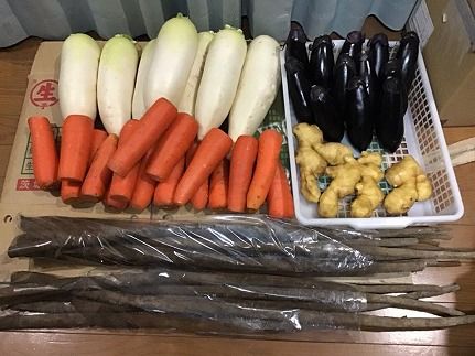 美肌・腸活 国産野菜たっぷり！麹を食べる 金山寺味噌(180g×8個) H140-028