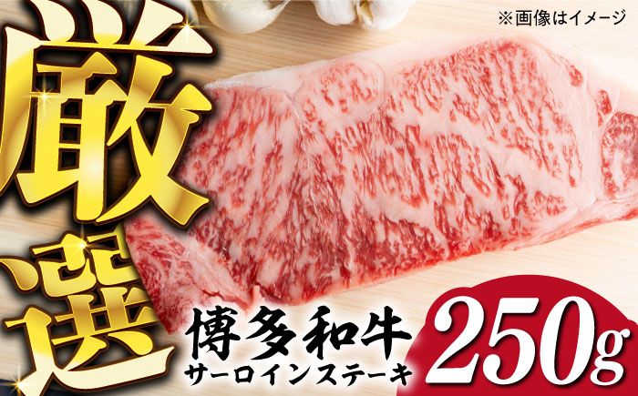 [厳選部位使用!]博多和牛 A4以上 サーロイン ステーキ 250g×1枚[築上町][株式会社MEAT PLUS] [ABBP006]