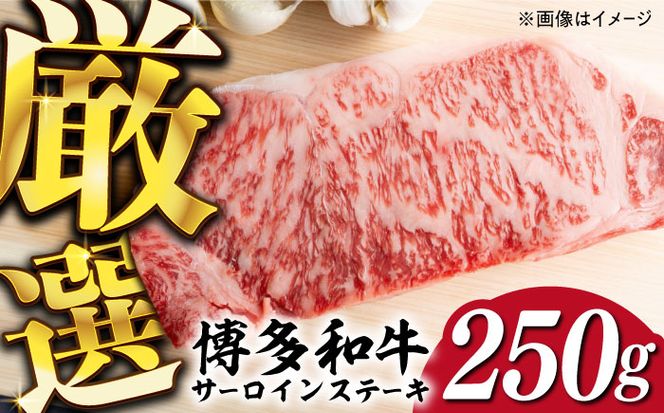 【厳選部位使用！】博多和牛 A4～A5 サーロイン ステーキ 250g×1枚《築上町》【株式会社MEAT PLUS】 [ABBP006]