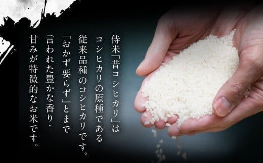 【新米受付・令和6年産米】【定期便 3ヶ月】新潟県岩船産 コシヒカリ 精米 6kg（2kg×3個セット）×3ヶ月 NC4085