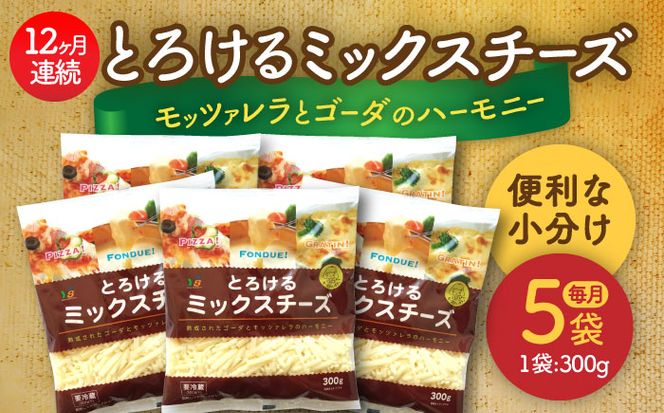 【12回定期便】 ミックスチーズセット　300g×5袋　12ヵ月お届け　合計18kg　チーズ　大容量　個包装　愛西市／株式会社ヨシダコーポレーション[AEAA005]