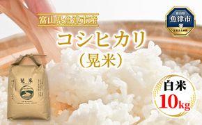 【令和8年度米】【農家直送】環境配慮「魚津のコシヒカリ（晃米）」10kg（白米） ｜新米 MK農産 白米 銘柄米 ブランド米 ご飯 おにぎり お弁当 和食 主食 国産 産地直送 甘み 香り もちもち ※2026年10月～発送