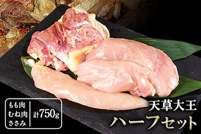 天草大王　ハーフセット 約750g【幻の地鶏】もも・むね・ささみ各1枚 熊本県産 長洲町《60日以内に出荷予定(土日祝除く)》---dn_fasohalf_60d_r7_11000_750g---