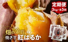 【全5回】【畑の金貨】焼き芋紅はるか3kg 定期便　K181-T02