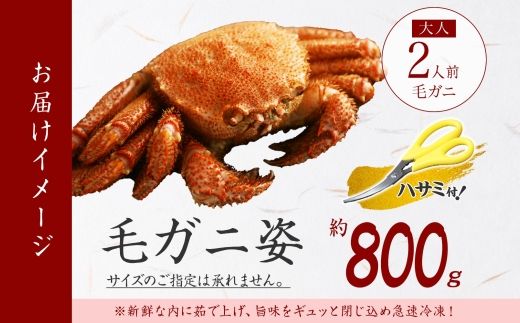 2986. 毛蟹 姿 800g 食べ方ガイド・専用ハサミ付 カニ かに ボイル済み 送料無料 北海道 弟子屈町