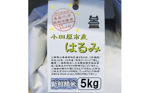 93-2687　  志村屋米穀店 令和6年産新米小田原市産 農薬・化学肥料不使用はるみ 新米 10kg（5kgｘ2）＜出荷時期：10月中旬より順次出荷開始＞