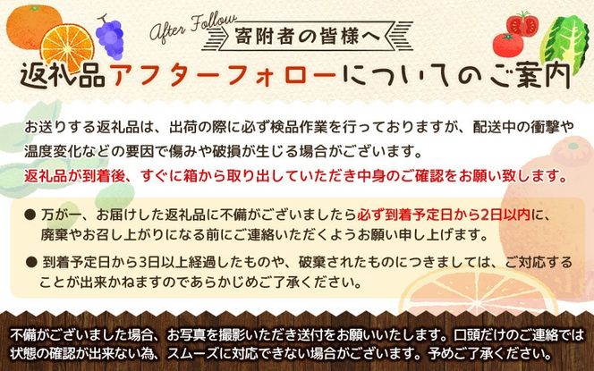 厳選 柑橘詰合せ1.5kg+45g（傷み補償分）【有田の春みかん詰め合わせ・フルーツ詰め合せ・オレンジつめあわせ】【光センサー選別】【ikd183A】