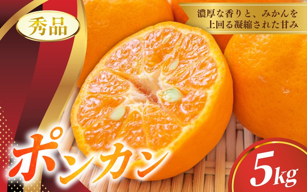 [先行予約]秀品 ポンカン 5kg [S~2Lのサイズおまかせ][2026年1月下旬から2月中旬頃に順次発送][味好農園]/ ぽんかん 蜜柑 みかん 柑橘 果物 フルーツ [agy009B]