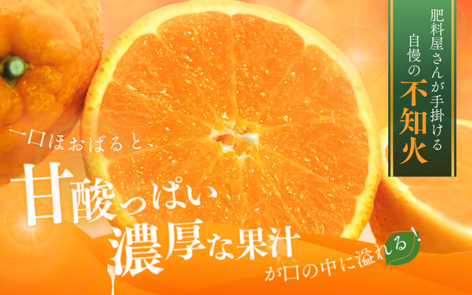 【先行予約】秀品 ハウス不知火 2kg※箱込み【L～4Lのサイズおまかせ】【2026年1月下旬から2026年２月下旬頃に順次発送】＜味好農園＞/不知火 デコポン 蜜柑 みかん 柑橘 果物 フルーツ 【