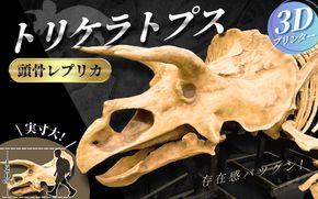 【トリケラトプス】 原寸大 頭骨レプリカ / レプリカ 標本 コレクション プラモデル 実物大 恐竜 骨格レプリカ フィギュア インテリア 展示 模型 博物館 骨格 頭蓋骨 オブジェ 3Dプリント 【