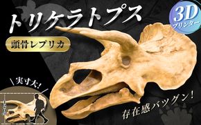 【トリケラトプス】 原寸大 頭骨レプリカ / レプリカ 標本 コレクション プラモデル 実物大 恐竜 骨格レプリカ フィギュア インテリア 展示 模型 博物館 骨格 頭蓋骨 オブジェ 3Dプリント 【