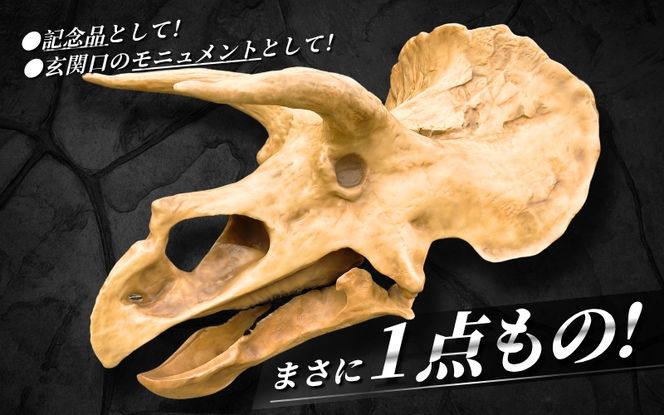 【トリケラトプス】 原寸大 頭骨レプリカ / レプリカ 標本 コレクション プラモデル 実物大 恐竜 骨格レプリカ フィギュア インテリア 展示 模型 博物館 骨格 頭蓋骨 オブジェ 3Dプリント 【