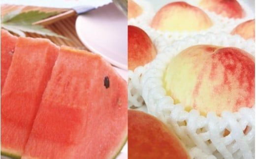 【旬のくだもの定期便】和歌山県の旬のフルーツをお届け！　全6回【Ｓ】（配送日時指定不可）※北海道・沖縄・離島への配送不可 / みかん いちご 清見オレンジ すいか 桃 柿【ard-tkb900A】