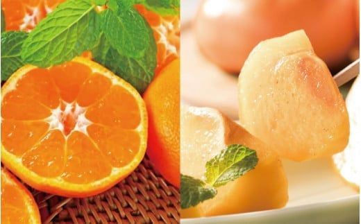 【旬のくだもの定期便】和歌山県の旬のフルーツをお届け！　全6回【Ｓ】（配送日時指定不可）※北海道・沖縄・離島への配送不可 / みかん いちご 清見オレンジ すいか 桃 柿【ard-tkb900A】