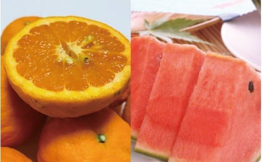 【旬のくだもの定期便】和歌山県の旬のフルーツを毎月お届け！　全12回【Ｓ】（配送日時指定不可）※北海道・沖縄・離島への配送不可【ard-tkb901A】