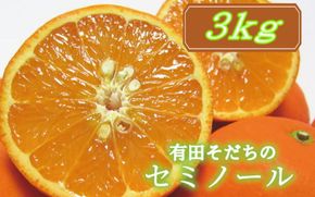 有田育ちの爽快セミノールオレンジ(ご家庭用)　約3kg【2025年4月より順次発送予定】【ard024A】