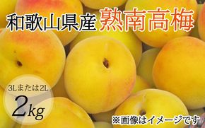 【梅干・梅酒用】（3Lまたは2L－2Kg）熟南高梅＜2025年6月上旬～7月上旬ごろに順次発送予定＞【art008A】