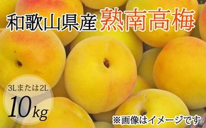 【梅干・梅酒用】（3Lまたは2L－10Kg）熟南高梅＜2025年6月上旬～7月上旬ごろに順次発送予定＞【art009A】