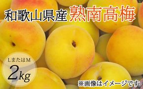 【梅干・梅酒用】（LまたはM－2Kg）熟南高梅＜2025年6月上旬～7月上旬ごろに順次発送予定＞【art012A】 