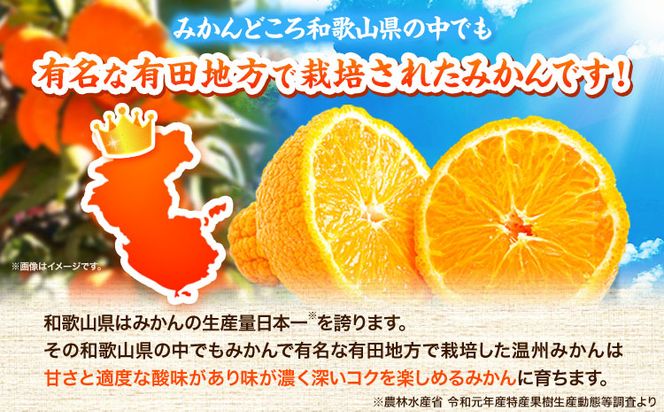 【先行予約】高級ブランド田村の完熟紀州デコ(不知火) 約4.5kg 株式会社 魚鶴商店《2026年2月下旬-3月中頃出荷》和歌山県 日高町 田村地区 不知火 柑橘 果物 フルーツ ブランド果実---wsh_uot123_2g3c_25_18000_45---