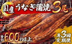 うなぎ蒲焼 3尾セット 合計600g以上 (定期便3回) H-301