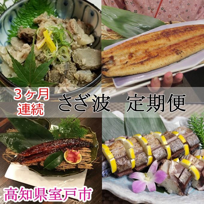 室戸の定期便[3回連続お届け]sz015